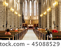 Myeongdong Cathedral 45088529