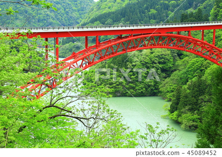 Toga Ohashi 45089452