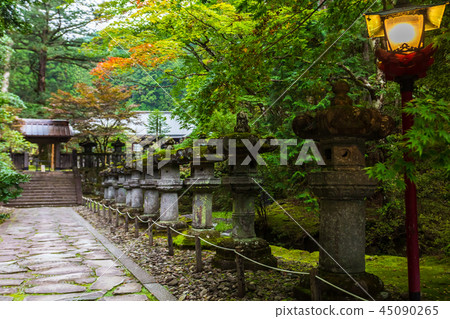Stone lanterns on pathway in Taiyuin Temple. 45090265