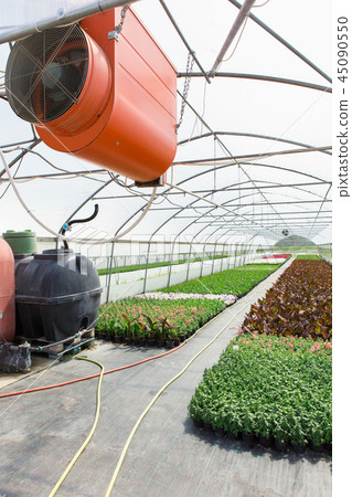 Greenhouse with microclimate control.  45090550