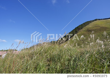 Senji plateau in autumn 45091073