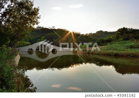 美麗的鄉村水塘在台灣寶山鄉寶山鄉油田村雞油凸的農塘步道 美麗的鄉村水塘在台灣寶山鄉寶山鄉油田村雞油凸的農塘步道 45091192