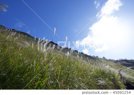 Senji高原在秋天 Senji高原在秋天 45091254