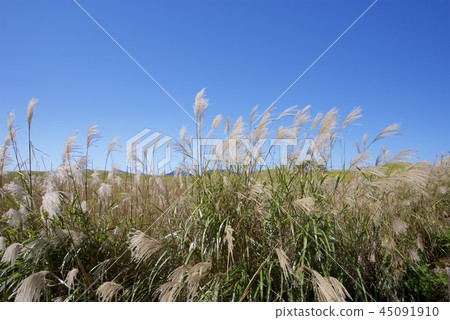 Senji plateau in autumn 45091910