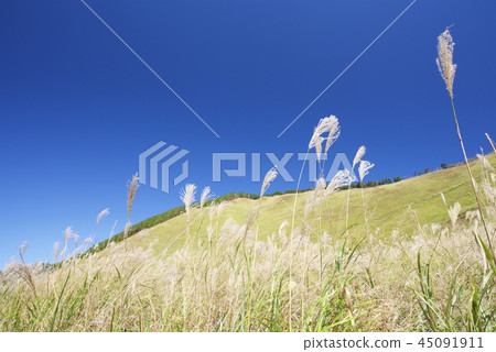 Senji plateau in autumn 45091911