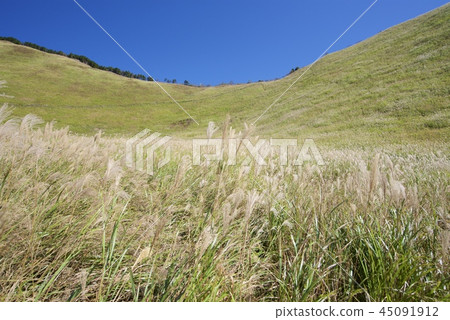 Senji plateau in autumn 45091912