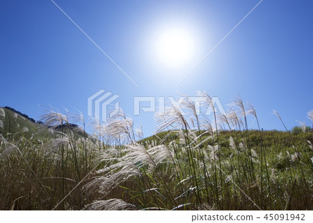 Senji plateau in autumn 45091942
