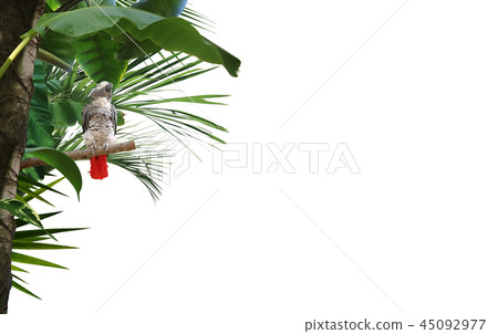 Summer Frame, Summer Background, Summer Frame, Summer Event Summer Frame, Summer Background, Summer Frame, Summer Event 45092977