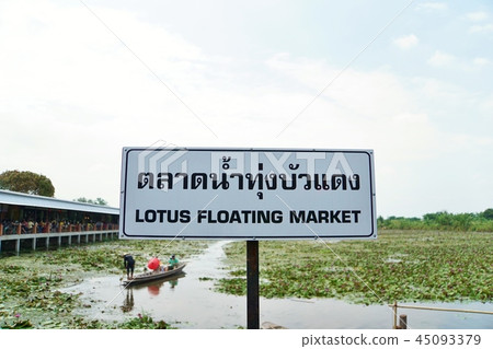 荷花池 花朵 花 45093379