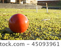 Gate ball 45093961