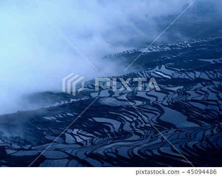 雲南,元,中國水稻梯田,多一樹水稻梯田,元陽 雲南,元,中國水稻梯田,多一樹水稻梯田,元陽 45094486