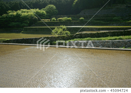 Tanada of Iwazajin Tanada of Iwazajin 45094724