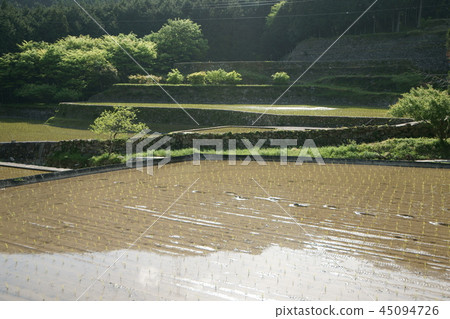 Tanada of Iwazajin Tanada of Iwazajin 45094726