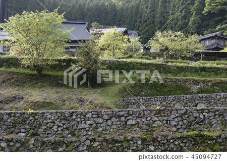 Tanada of Iwazajin 45094727