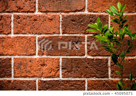 Ornamental plant on the red brick wall 45095071