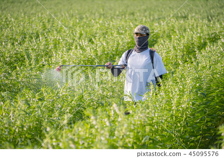 年輕 農夫 灑農藥 病蟲害 芝麻田 spraying pesticides 農薬を散布し 45095576