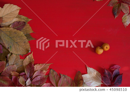 autumn fruits red berries yellow leaves ok autumn fruits red berries yellow leaves ok 45098510