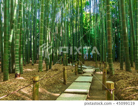 鎌倉Hogokuji竹園 45099119
