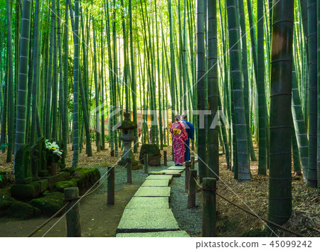 鎌倉Hogokuji竹園 鎌倉Hogokuji竹園 45099242