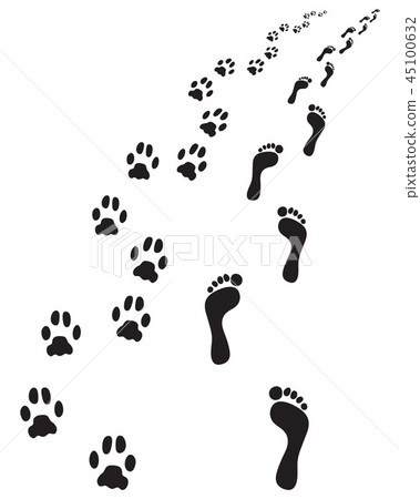 bare feet and paws dog 45100632