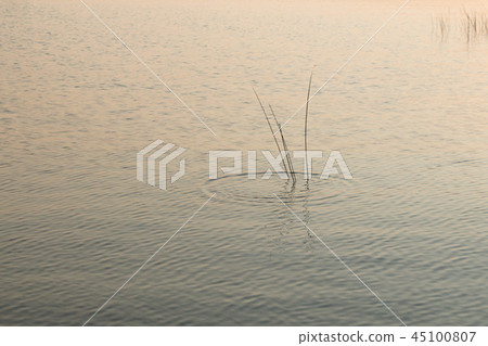 Beautiful calm sunset landscape on Lake Huron Beautiful calm sunset landscape on Lake Huron 45100807