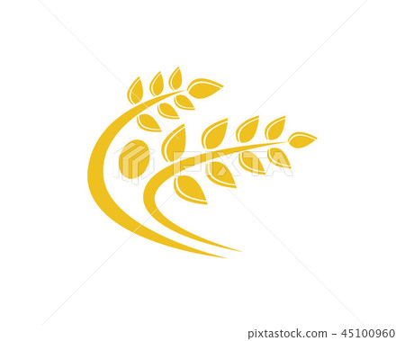 Agriculture wheat Logo Template vector icon design Agriculture wheat Logo Template vector icon design 45100960