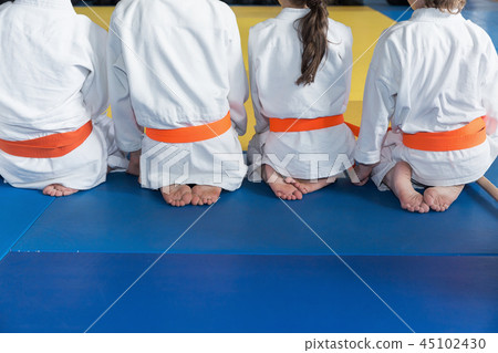 People in kimono and hakama on martial arts training 45102430