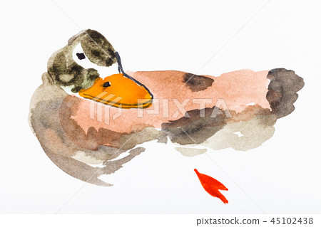 colorful duck drawn by watercolors colorful duck drawn by watercolors 45102438