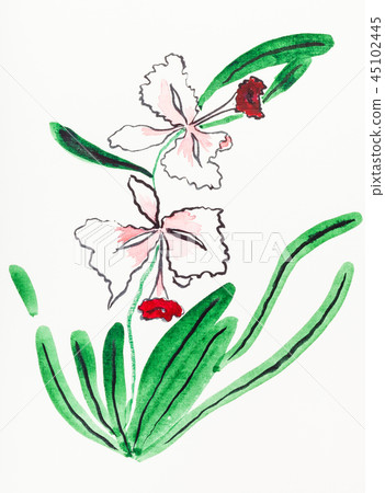 color orchid flower drawn by watercolors color orchid flower drawn by watercolors 45102445