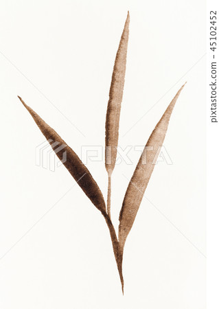 bamboo twig drawn by brown watercolors bamboo twig drawn by brown watercolors 45102452