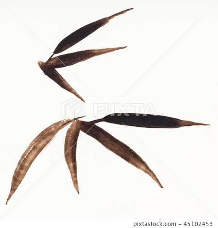bamboo twigs with leaves drawn by watercolors bamboo twigs with leaves drawn by watercolors 45102453