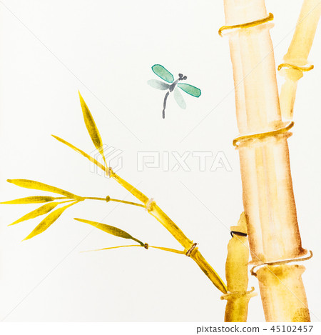 dragonfly flies near bamboo drawn by watercolors 45102457