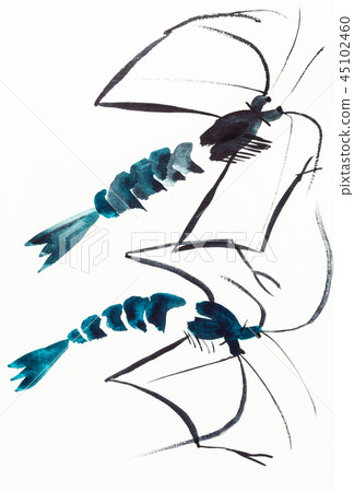 two shrimps drawn by watercolors two shrimps drawn by watercolors 45102460