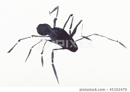spider drawn by black watercolors spider drawn by black watercolors 45102479
