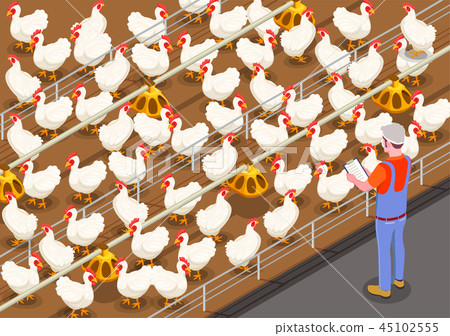Poultry Isometric Background 45102555