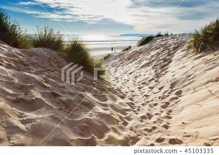 Camber Sands, East Sussex near Rye, England 45103335