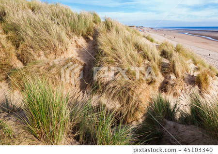 Camber Sands, East Sussex near Rye, England 45103340