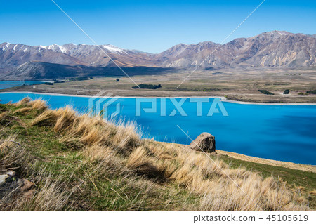 New Zealand South Island-Lake Tekapo and Grasslands New Zealand South Island-Lake Tekapo and Grasslands 45105619