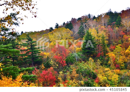 Hachimantai通入蒸汽的溫泉五顏六色的秋葉 Hachimantai通入蒸汽的溫泉五顏六色的秋葉 45105845