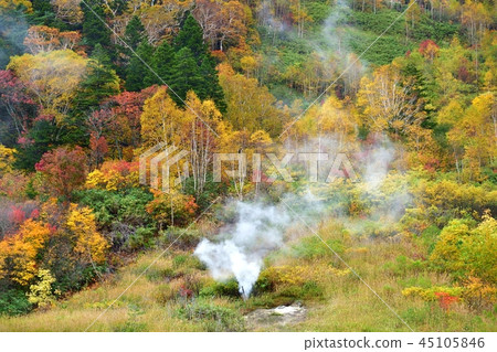 五顏六色的秋葉的合作和八幡平蒸的溫泉的來源 45105846