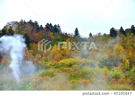 五顏六色的秋葉的合作和八幡平蒸的溫泉的來源 45105847