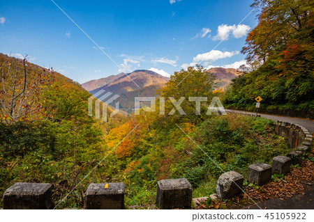 Autumn scenery from Aramine Forest Road 45105922