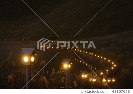 Zen Takayama light 45107636