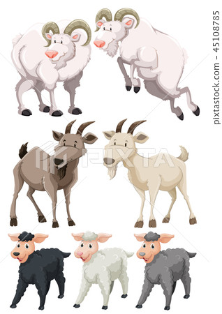 Set of goats and sheep Set of goats and sheep 45108785