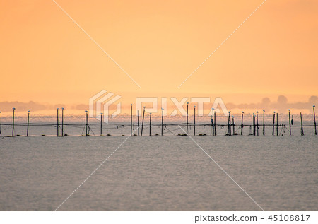 Landscape with morning Eri in Lake Biwa Landscape with morning Eri in Lake Biwa 45108817