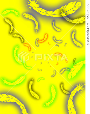羽毛 45108909
