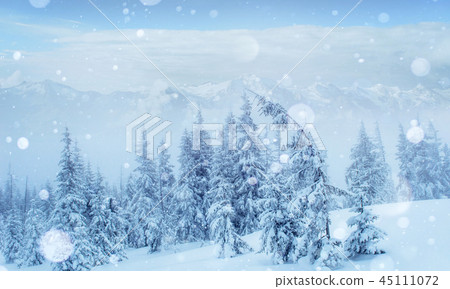 Mysterious winter landscape majestic mountains in the Mysterious winter landscape majestic mountains in the 45111072