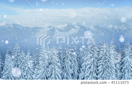 Mysterious winter landscape majestic mountains in the Mysterious winter landscape majestic mountains in the 45111073