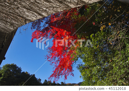 Otake Valley of autumn leaves Otake Bridge Otake Valley of autumn leaves Otake Bridge 45112018