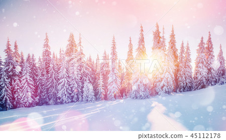 Sunlight breaks through the tree crown in the mountains. Photo g 45112178